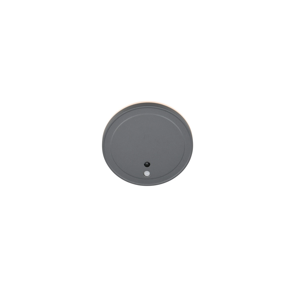 Design wandlamp Fortaleza rond antraciet Trio 4017807647907
