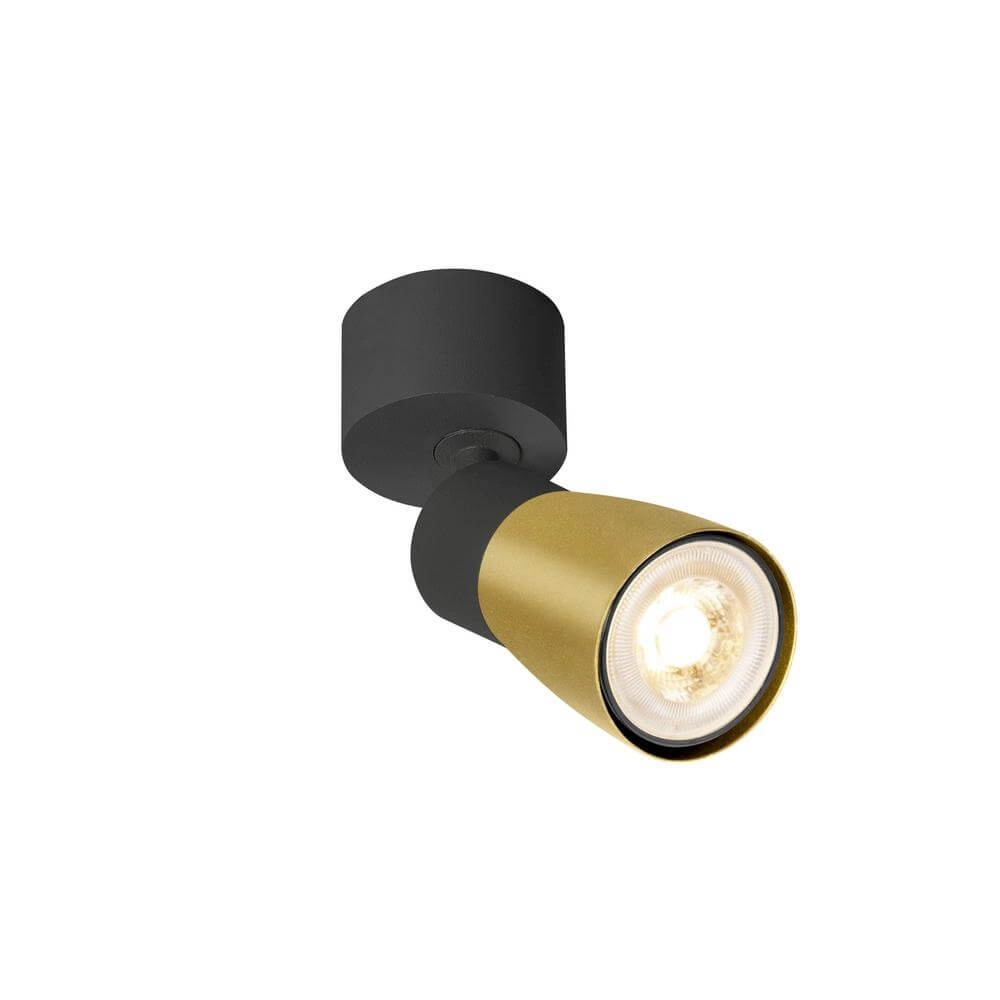 Opbouwspot Puri 2.0 Dome zwart-goud enkel