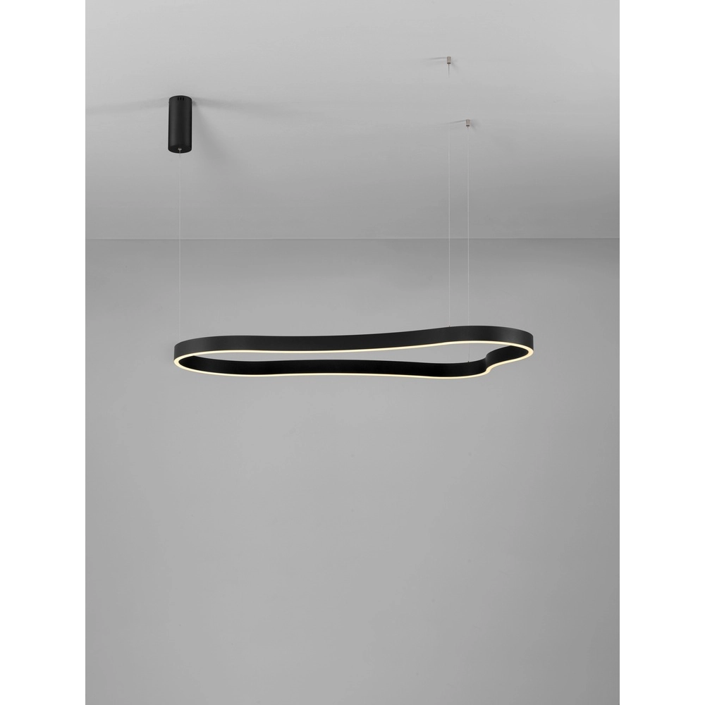 Natuurlijke vorm hanglamp Dussa zwart 120cm Lyora 5212017463074
