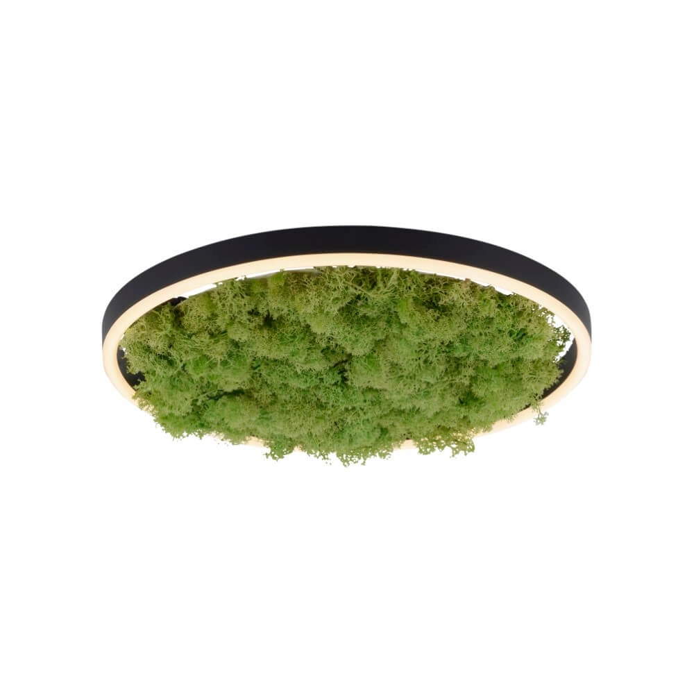 Plafondlamp Green Ritus met mos Ø 39,3cm