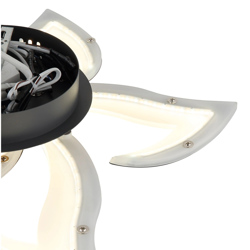 Design plafondlamp Lavonne antraciet Globo 9007371583485