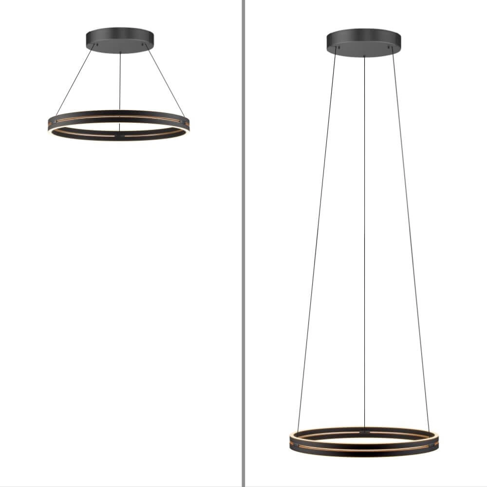 Strakke hanglamp Pure E-Loop zwart Ø 70cm Paul Neuhaus 4012248384336