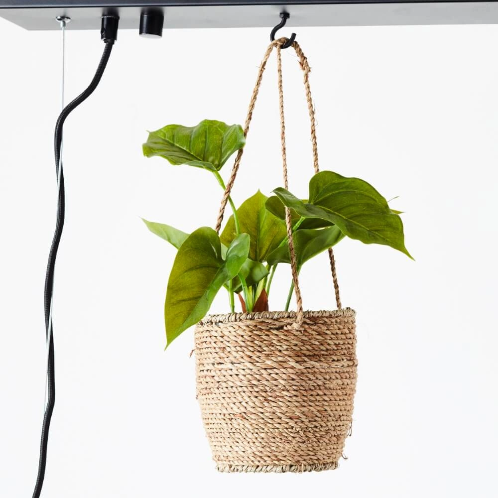 Hanglamp Bankwood 50cm Brilliant 4004353396571
