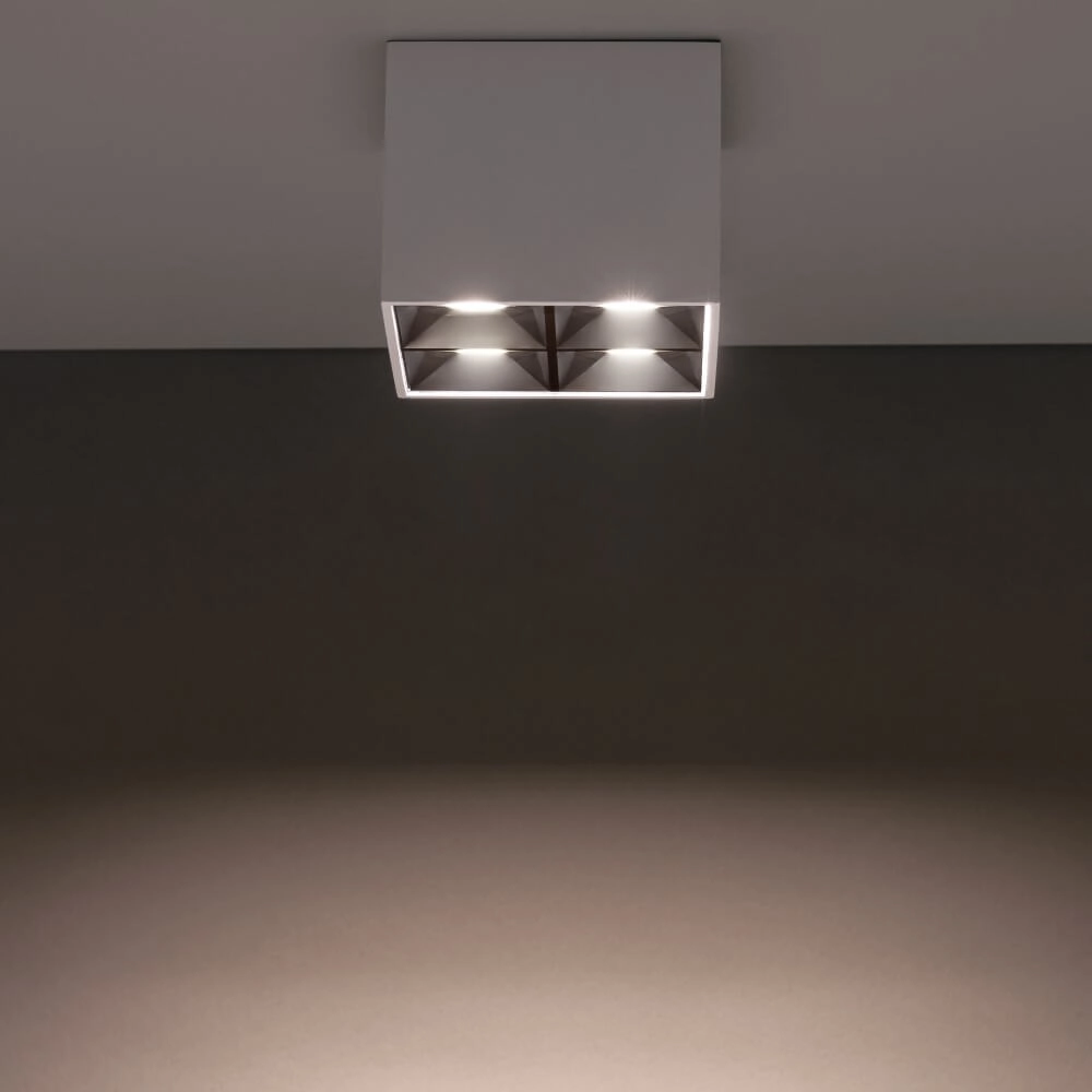 Witte opbouwspot Midi Led 2x2 leds - 4000K Lyora 5903139100519