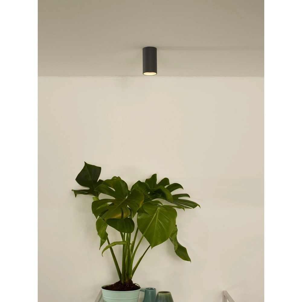 Strakke opbouwspot Delto grijs Ø 5,5cm incl lichtbron Lucide 5411212092373