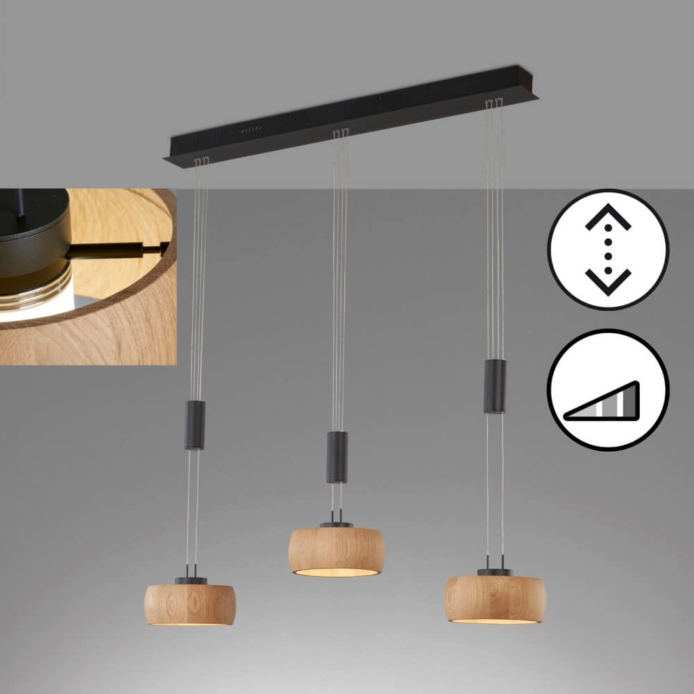 3-lichts hanglamp Shine-Wood zwart Fischer & Honsel 4003694610933