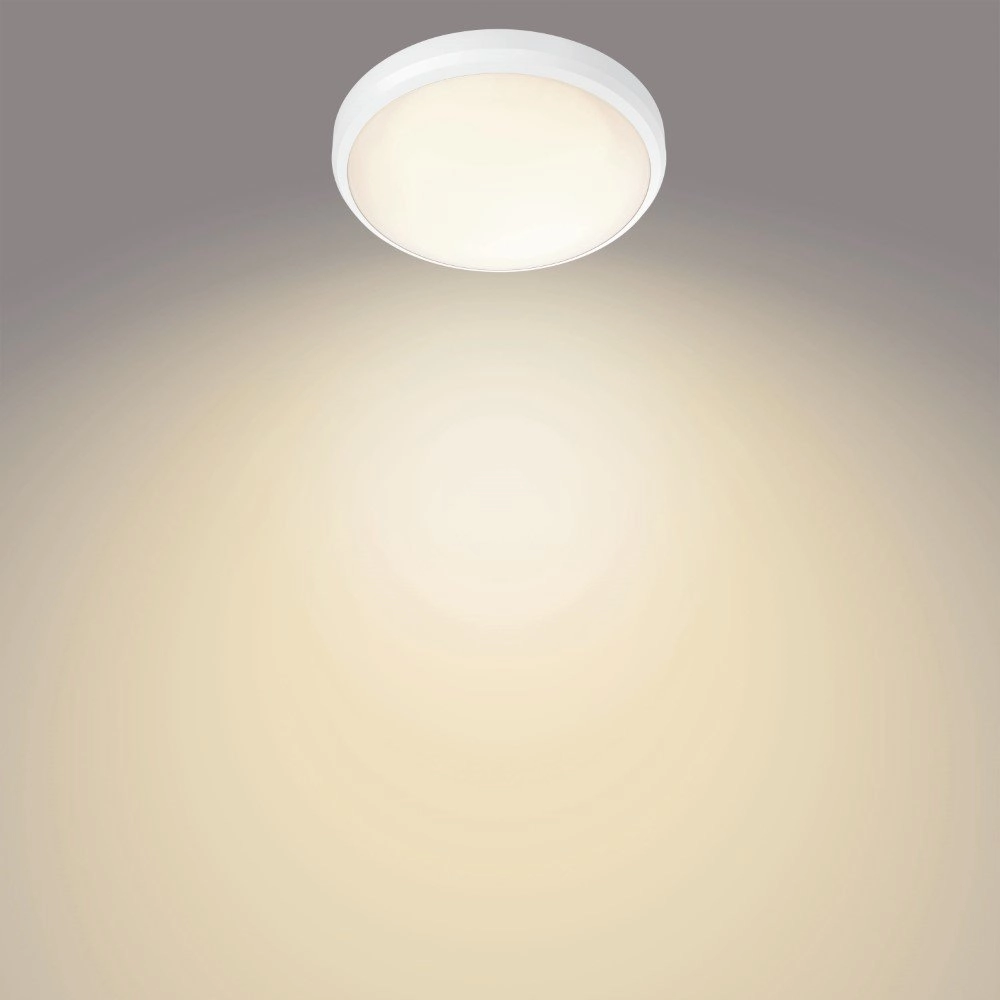 Badkamer plafonnière Balance Ø 22,5cm Philips 8718699778873