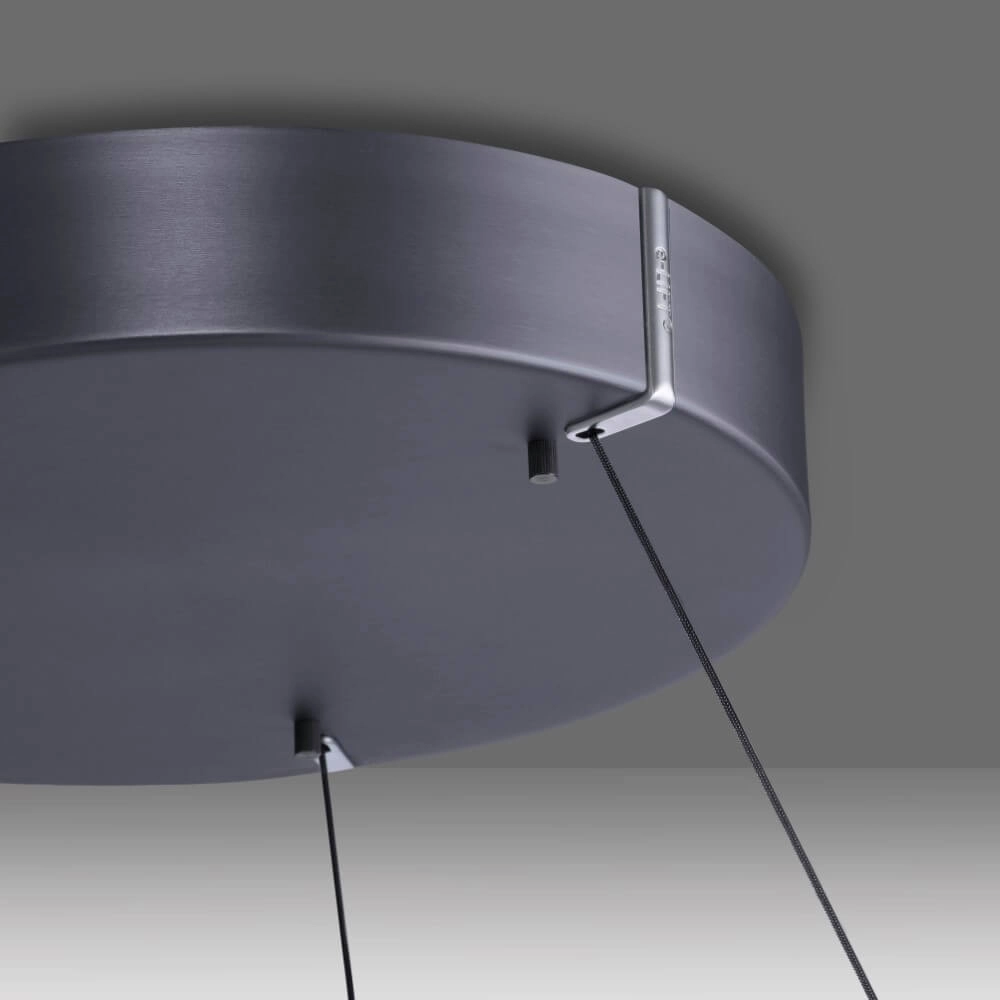 Strakke hanglamp Pure E-Loop grijs Paul Neuhaus 4012248372258