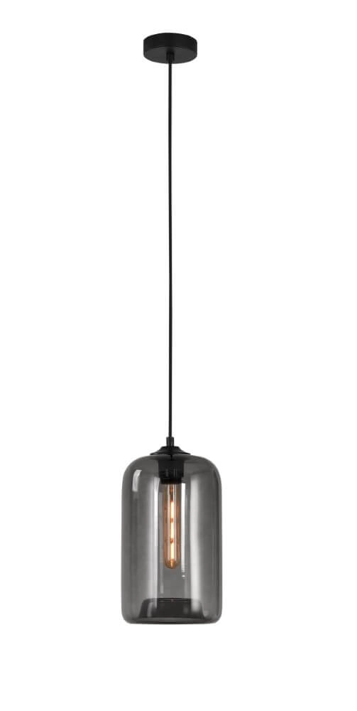 1-lichts hanglamp Botany smoke glas