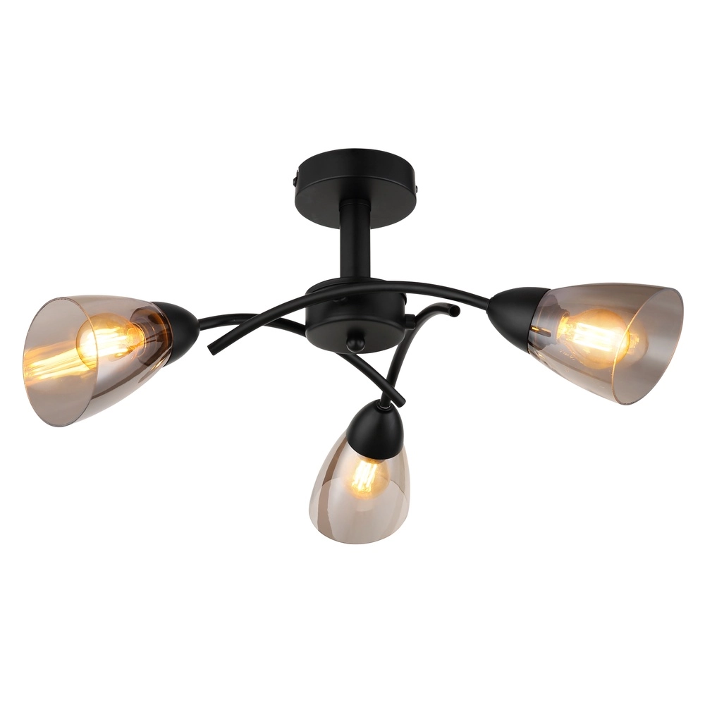 Zwarte plafondlamp Paula design