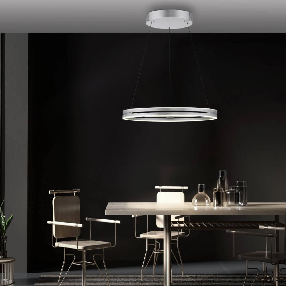 Strakke hanglamp Pure E-Loop aluminium Ø 70cm Paul Neuhaus 4012248372302