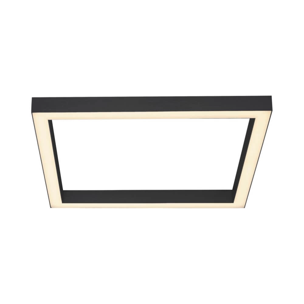 Vierkante plafondlamp Pure Lines Square antraciet Paul Neuhaus 4012248357927