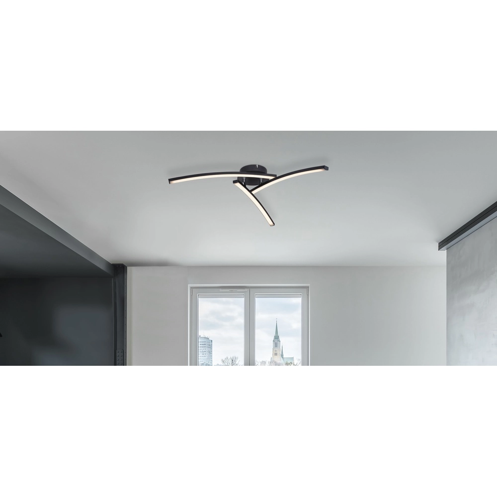 Design plafondlamp Tansy I zwart Globo 9007371401604