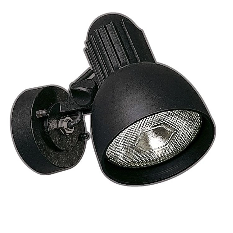 Wandspot Orientable voor buiten