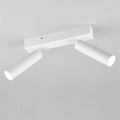 Slanke plafondspot Ambala 2x led - wit