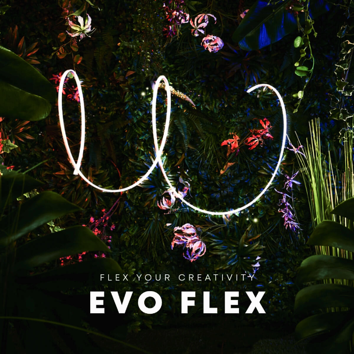 EVO FLEX 3 In-lite 8717051005367