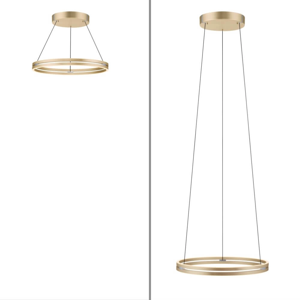Strakke hanglamp Pure E-Loop messing Ø 70cm Paul Neuhaus 4012248372296