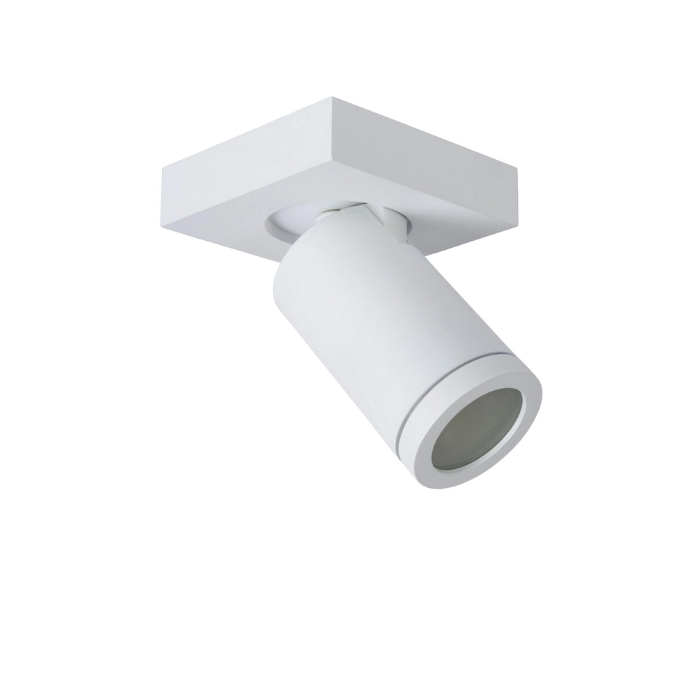 Plafondspot Taylor IP44 enkel wit