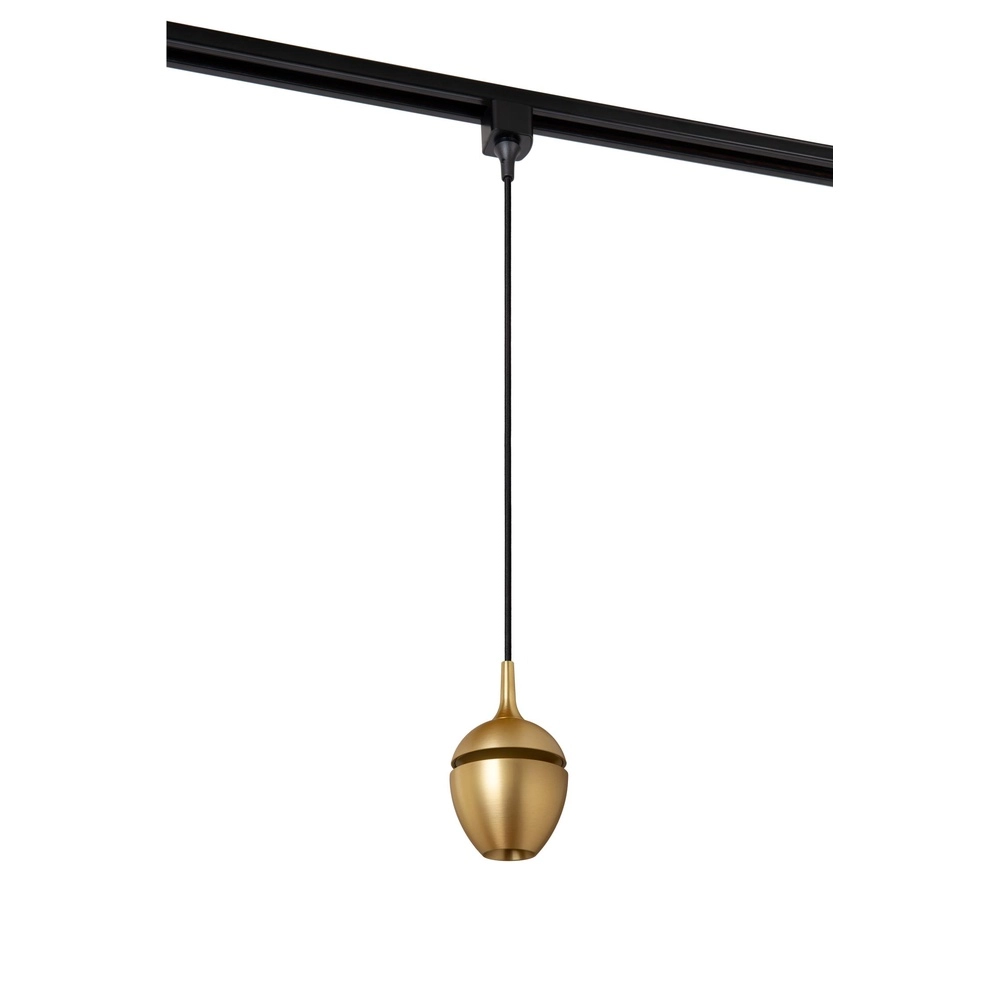 Rail hanglamp Track Preston 1-fase goud