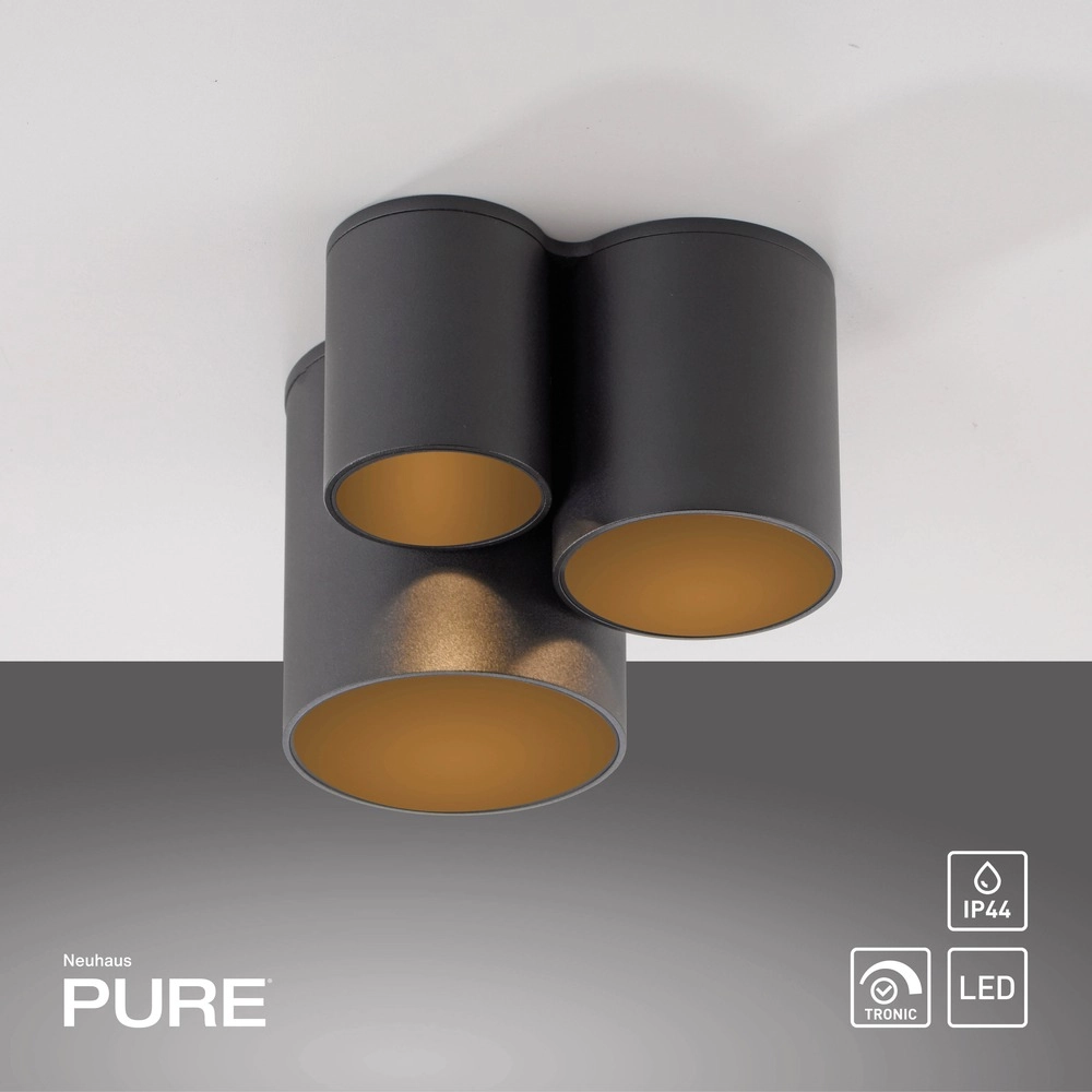 3L plafondlamp Pure Point black pearl Paul Neuhaus 4012248395714