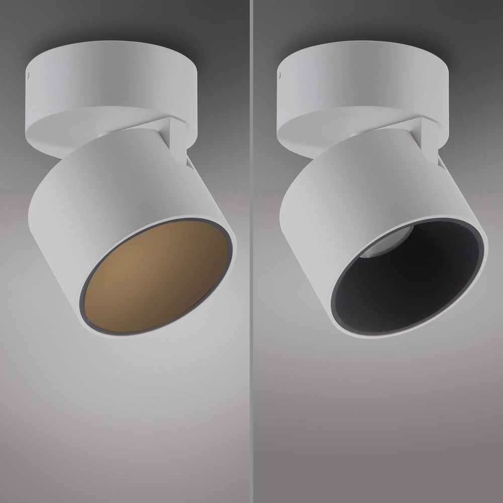 Strakke opbouwspot Pure Cup snow white Paul Neuhaus 4012248395578