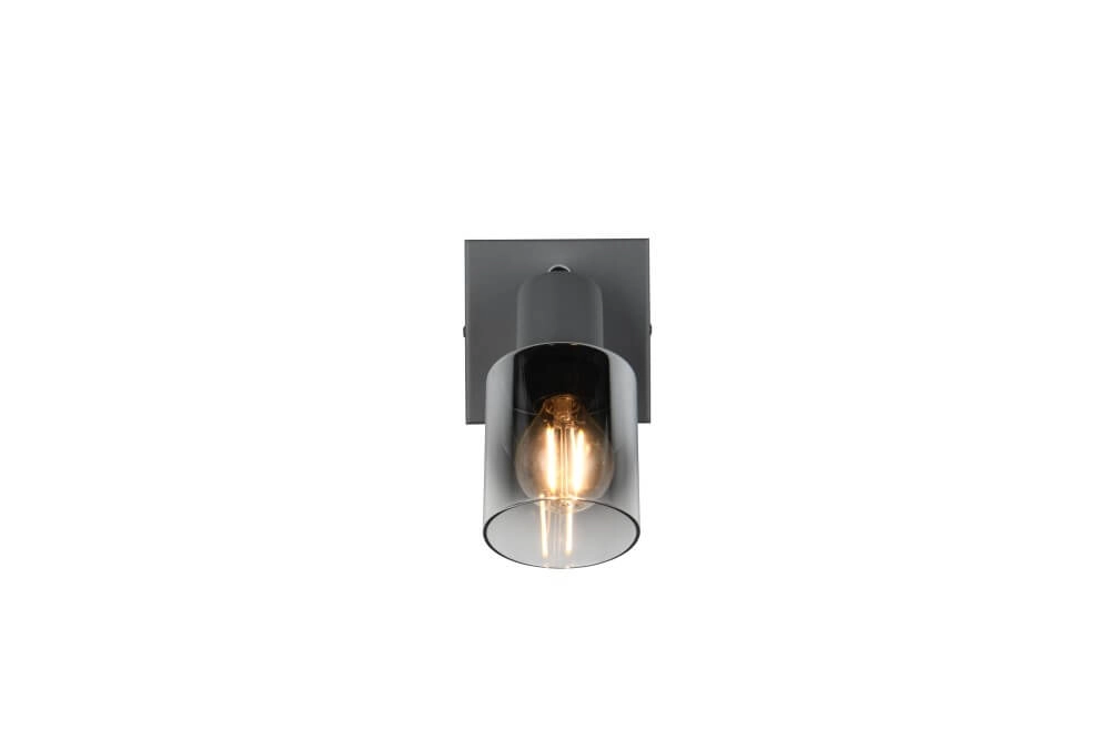 Zwart wandlampje Cadiz met smoke glas Trio 4017807615753