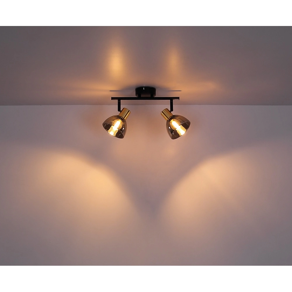 Design plafondlamp Jay 2-lichts zwart met smoke Globo 9007371396399