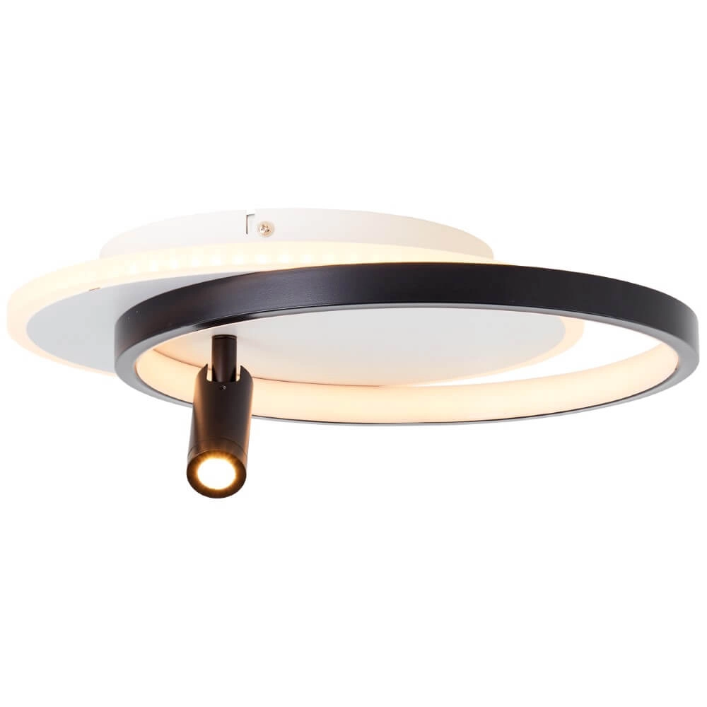 Led plafondlamp Eunomia met spotje