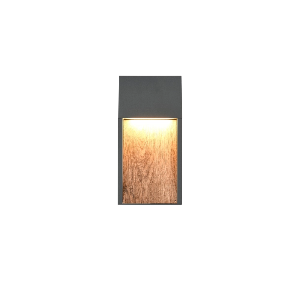Design wandlamp Salmon grijs met hout Trio 4017807603705