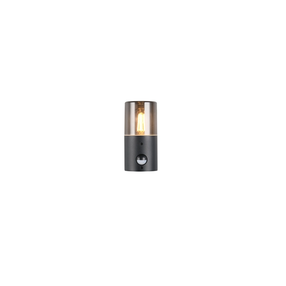Wandlamp Hoosic enkel met sensor Trio 4017807603620