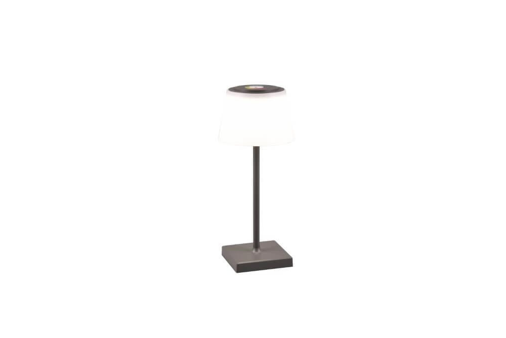 Oplaadbare tafellamp Sanchez antraciet Trio 4017807570595