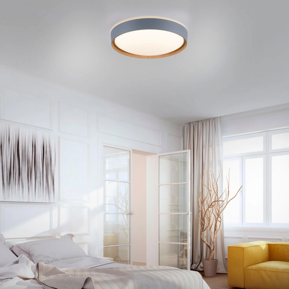 Ronde plafondlamp Q-Emilia grijs Paul Neuhaus 4012248366530