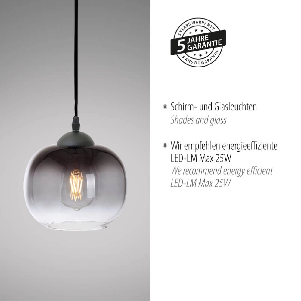 Zwarte hanglamp Zea enkel Just Light 4043689993740