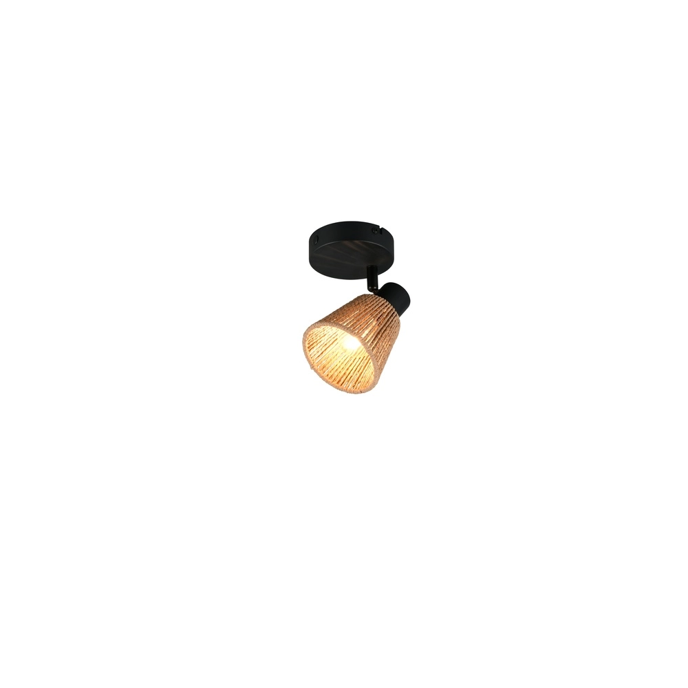 Plafondlamp Natrel enkel bruin Trio 4017807672312