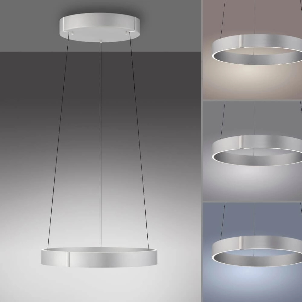 Ronde hanglamp Pure E-Clipse aluminium Ø 50cm Paul Neuhaus 4012248372333