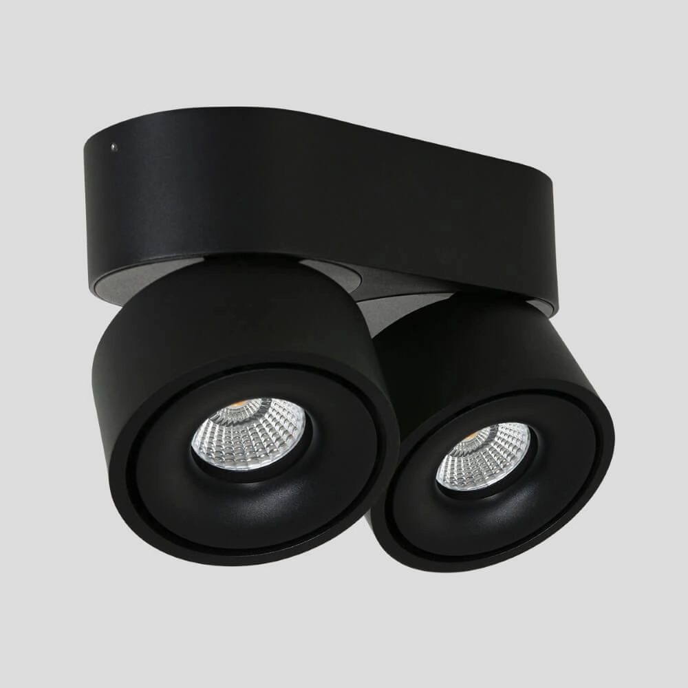 Strakke opbouwspot Fez Black 2-lichts zwart Steinhauer 8712746132502