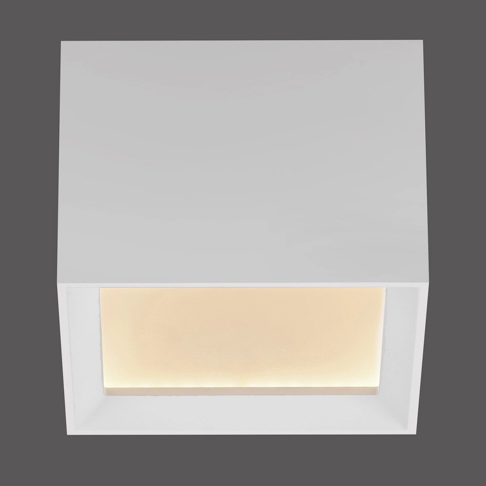 Led opbouwspot Pure Manhattan wit Paul Neuhaus 4012248396834