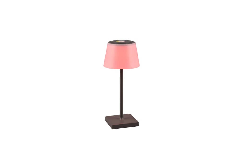 Oplaadbare tafellamp Sanchez antraciet Trio 4017807570595