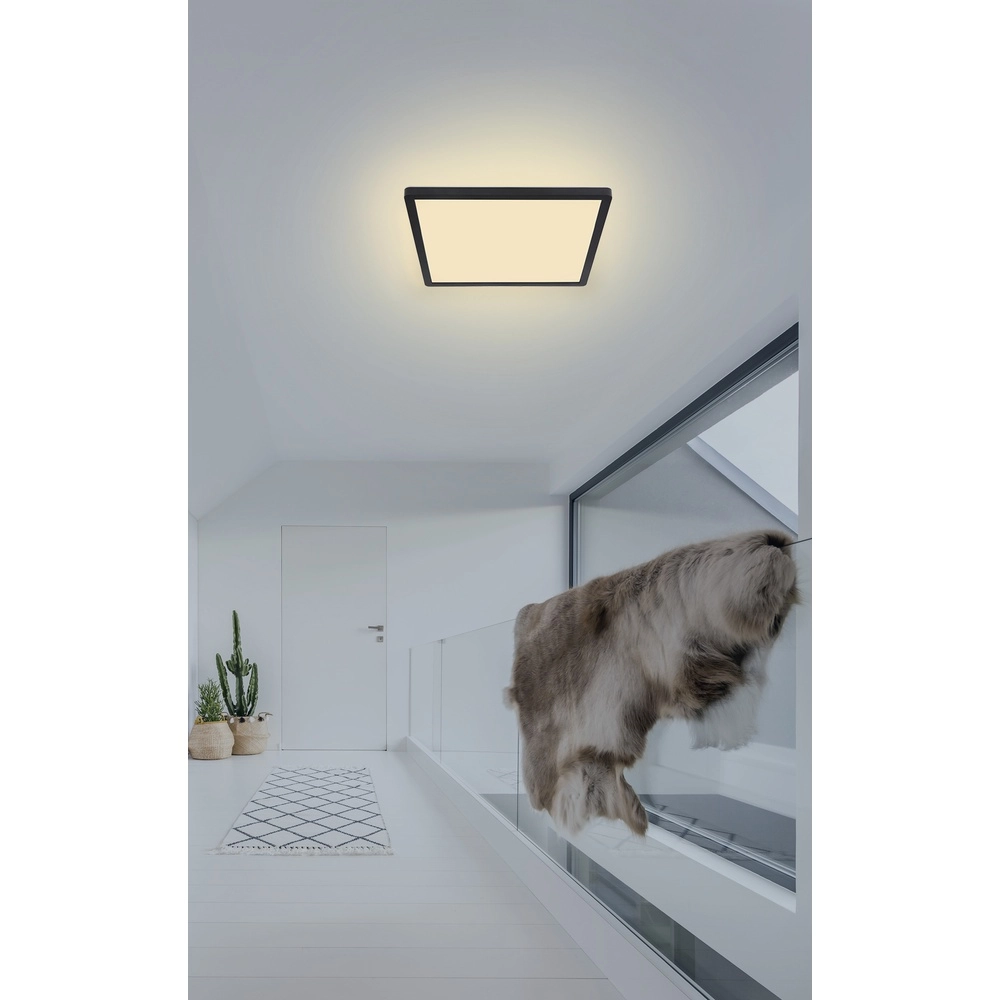 Plafonniere Sapana vierkant 29,4cm zwart Globo 9007371414390