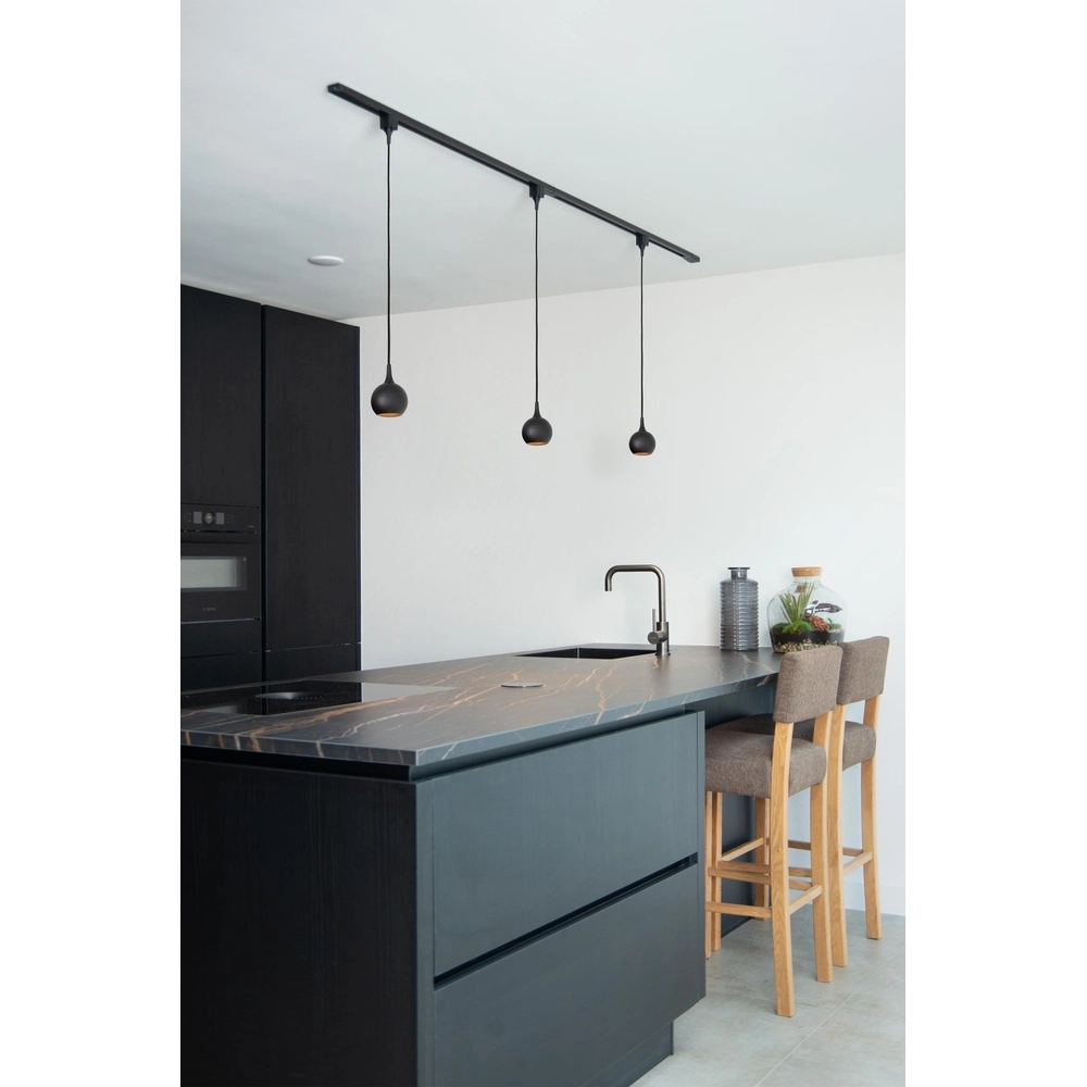 Rail hanglamp Track Favori 1-fase zwart Lucide 5411212093387