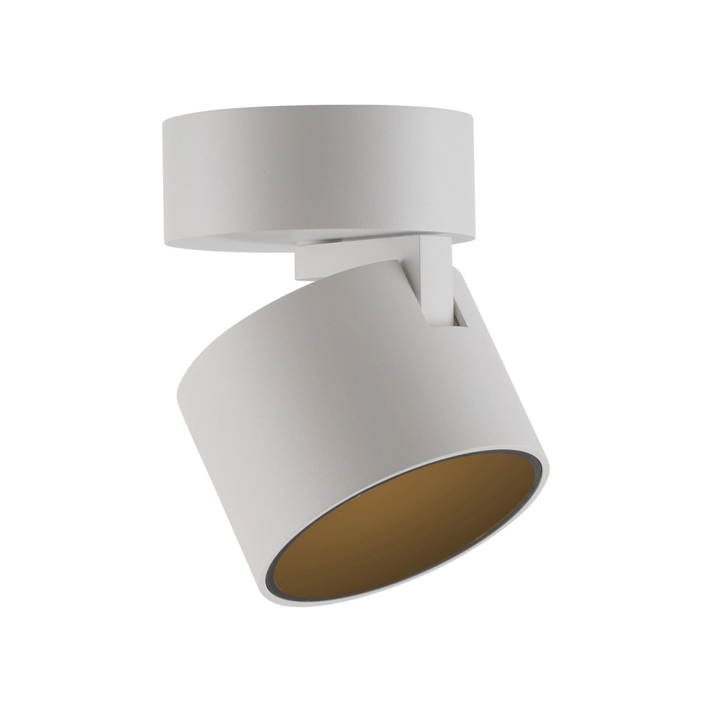 Strakke opbouwspot Pure Cup snow white Paul Neuhaus 4012248395578
