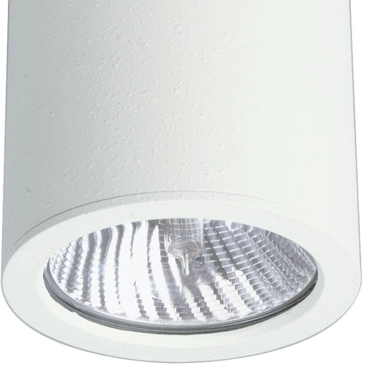 Veranda verlichting Cylinder spot Albert 4007235821307