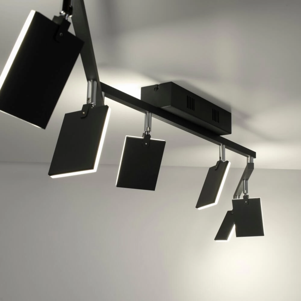 Plafondlamp Pure Mira 6-lichts zwart Paul Neuhaus 4012248359464