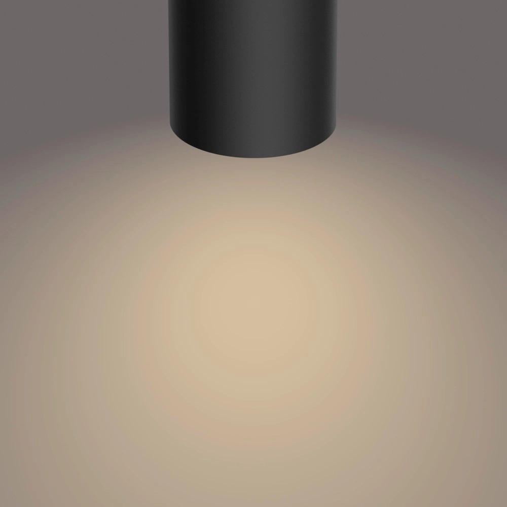 Spot Byrl 3-lichts zwart Philips 8718696170212