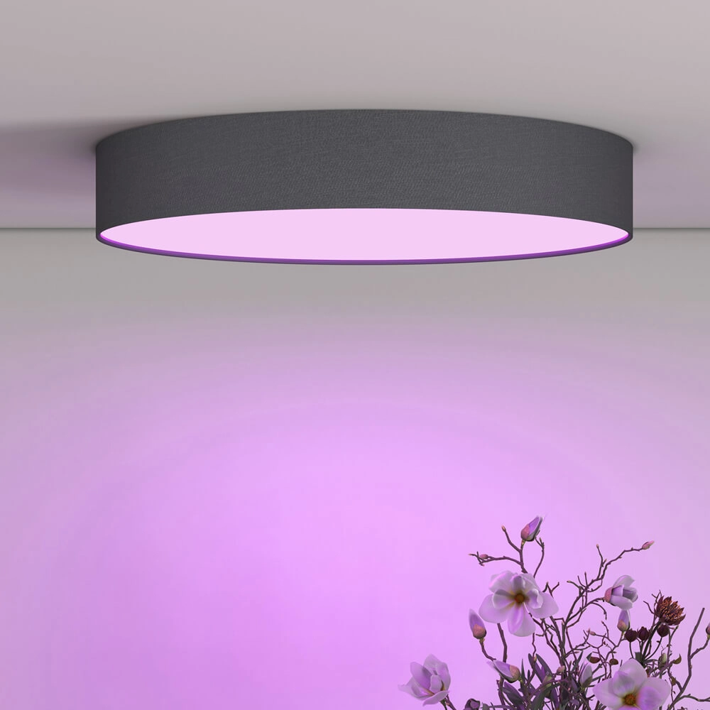 Slimme plafonnière Smart Ceily Ø 40cm Circle 8712879151098