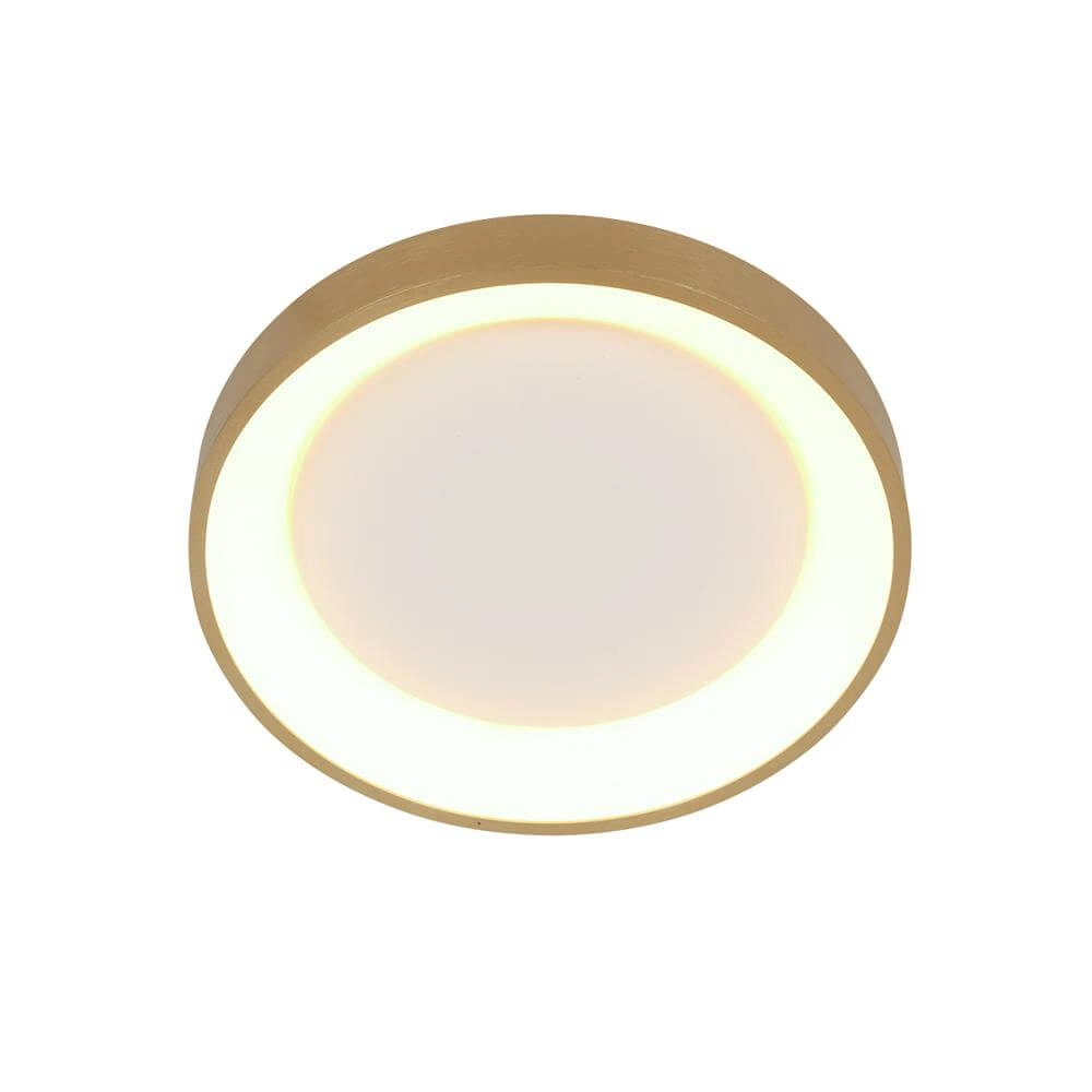 Plafondlamp Ringlede design goud Ø 28cm Steinhauer 8712746171921