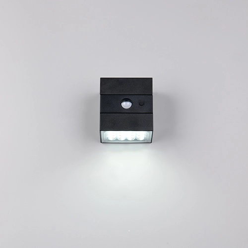 Wandlamp Talca zwart Trio 4017807691658
