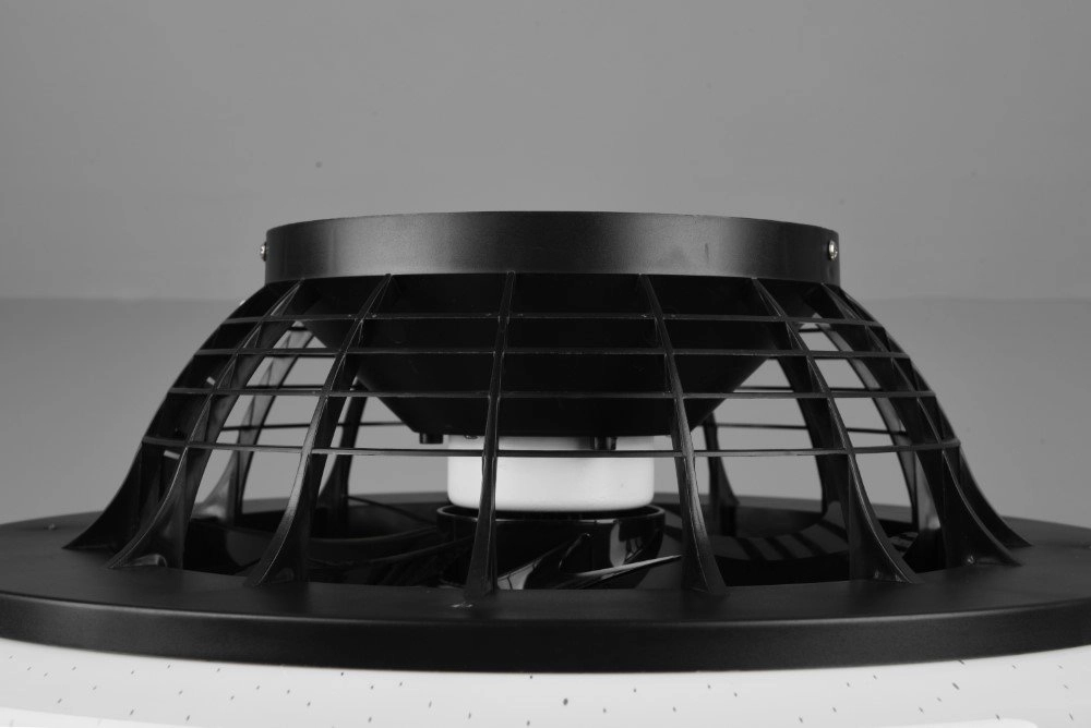 Zwarte plafondventilator Stralsund Trio 4017807491098