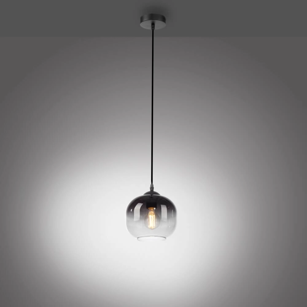 Zwarte hanglamp Zea enkel Just Light 4043689993740
