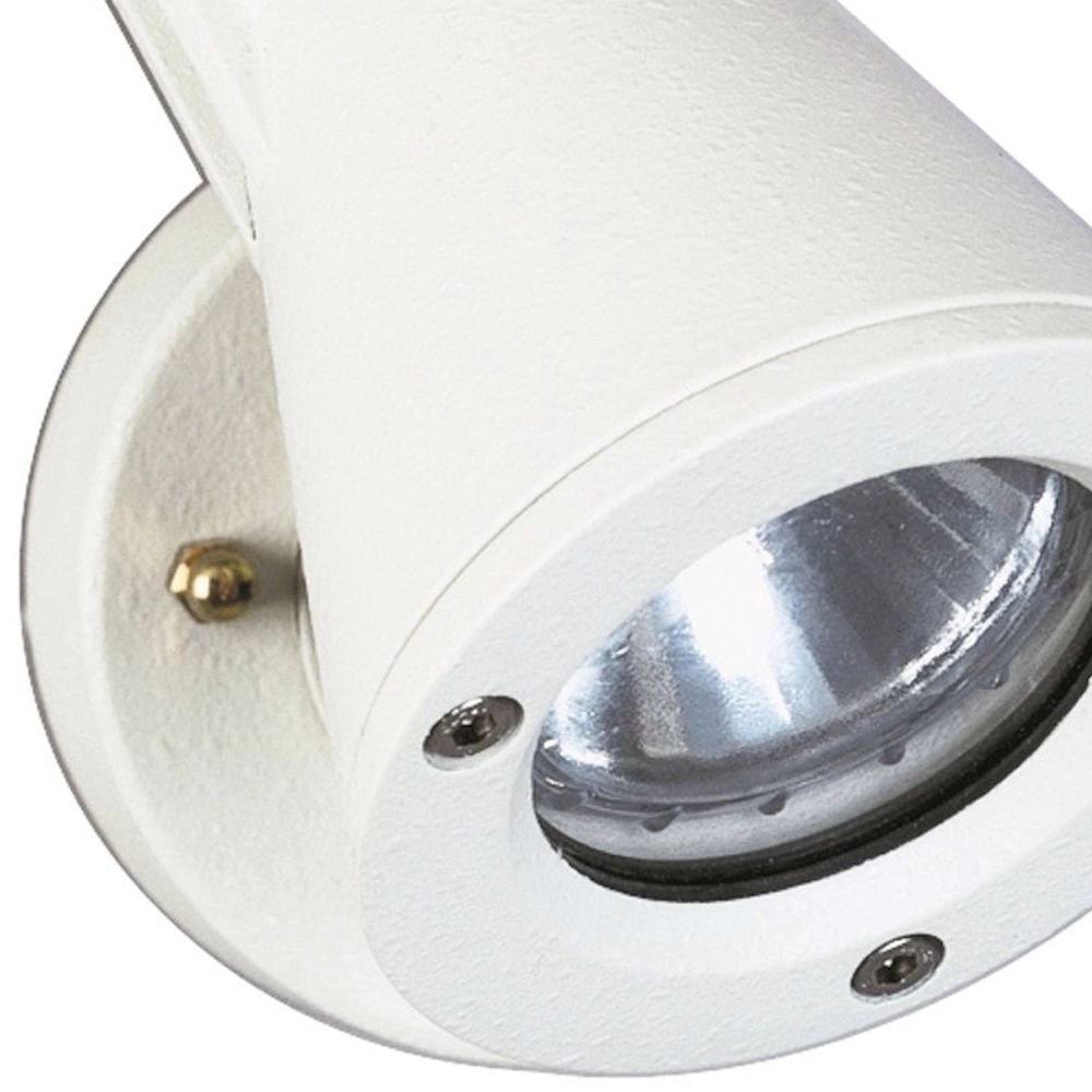 Wandspot Orientable voor buiten Albert 4007235821536